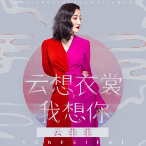 Listen to 云想衣裳我想你 (伴奏) song with lyrics from 云菲菲