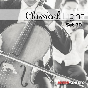 Various Artists的專輯Classical Light, Set 20