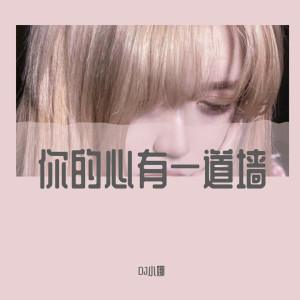 Dengarkan 你的心有一道墙（DJ版） lagu dari DJ小娜 dengan lirik