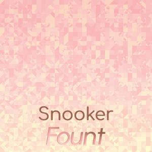 Various Artists的專輯Snooker Fount