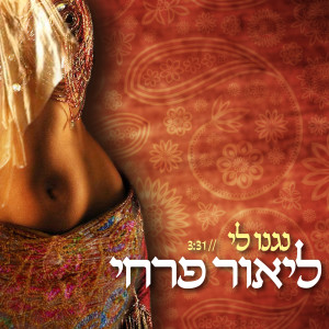 Listen to נגנו לי song with lyrics from Lior Farhi