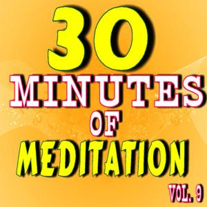 30 Minutes of Meditation, Vol. 9 (Special Edition)
