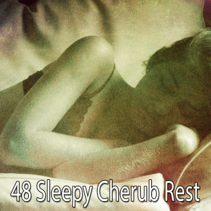 Einstein Baby Lullaby Academy的专辑48 Sleepy Cherub Rest