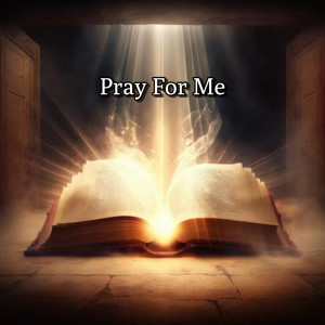 Listen to Pray for Me (Explicit) song with lyrics from VinDaci