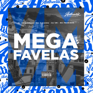 ดาวน์โหลดและฟังเพลง Mega das Favelas (feat. Mc Brinquedo, Mc Pikachu & Mc Pedrinho) พร้อมเนื้อเพลงจาก Dj Vm