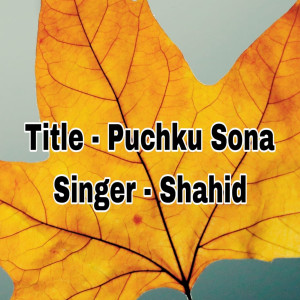 Album Puchku Sona oleh Shahid