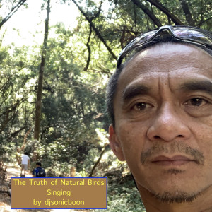 Listen to The Truth of Natural Birds Singing song with lyrics from djsonicboon