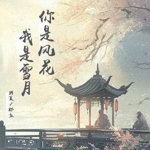 Album 你是风花我是雪月 from 玥夏
