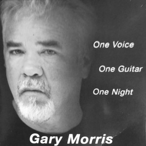 One Voice, One Guitar, One Night