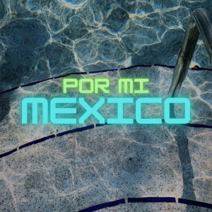 Album Por Mi Mexico (Remix) from Tik Tok Virales