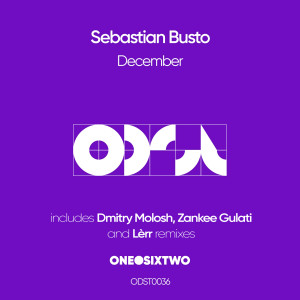 Listen to The Miracle (Lèrr Remix) song with lyrics from Sebastian Busto
