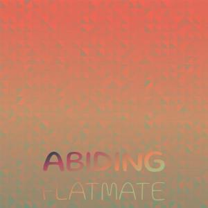 Album Abiding Flatmate oleh Various