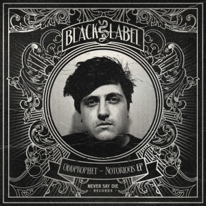 ดาวน์โหลดและฟังเพลง Notorious (Original Mix) พร้อมเนื้อเพลงจาก Oddprophet
