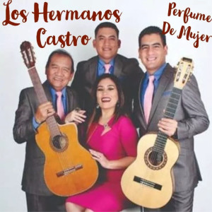收聽Los Hermanos Castro的Porque Soy Romántico歌詞歌曲
