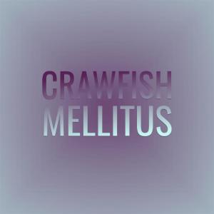 Various的專輯Crawfish Mellitus