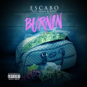 Album Burnin' (feat. Nump & Rippy) (Explicit) from Nump