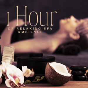 Album 1 Hour of Relaxing Spa Ambience from 