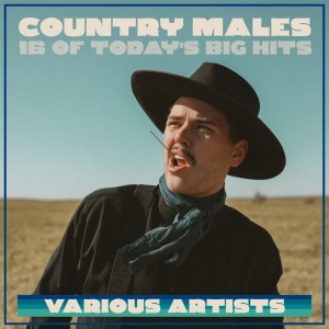 Various的专辑Country Males - 16 Of Today's Big Hits
