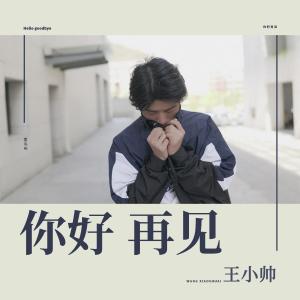 收听王小帅的你好 再见 (伴奏)歌词歌曲