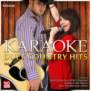 ดาวน์โหลดและฟังเพลง Time of My Life (I've Had) [In the Style of Bill Medly/Jenifer Warnes] [Karaoke Version] พร้อมเนื้อเพลงจาก Ameritz Karaoke Hits