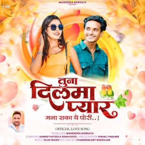 Album Tuna Dil Ma Pyar Mana Sa Ka Ye Pori from Vishal Thakare