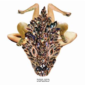 Listen to Barrels song with lyrics from Diploid