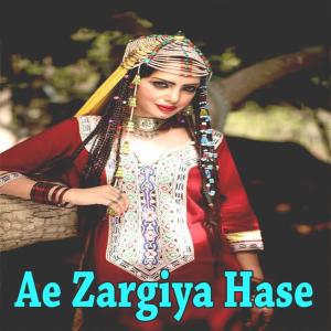 Dengarkan Zan Sara Ka lagu dari Various Artists dengan lirik