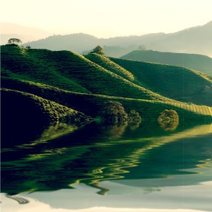 Listen to Deep Blue Sea song with lyrics from Música De Relajación Para Dormir Guru