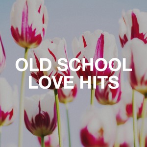 Album Old School Love Hits from The Cover Lovers