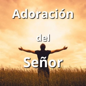 Listen to No Se Compara song with lyrics from Persis Melo