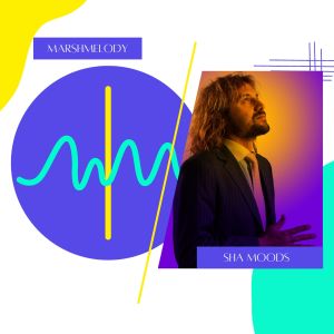 收聽Marshmelody的Copacabana Walk歌詞歌曲