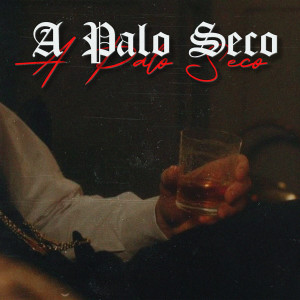 Listen to A palo seco (Explicit) song with lyrics from Mxndxz