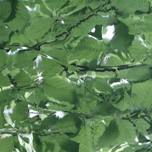 ดาวน์โหลดและฟังเพลง Seeing Deeper พร้อมเนื้อเพลงจาก Dysk