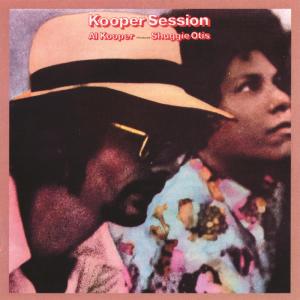 ดาวน์โหลดและฟังเพลง Double or Nothing พร้อมเนื้อเพลงจาก Al Kooper