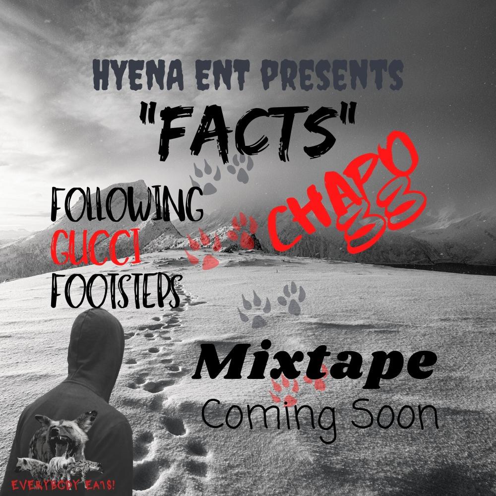 Facts (Explicit)