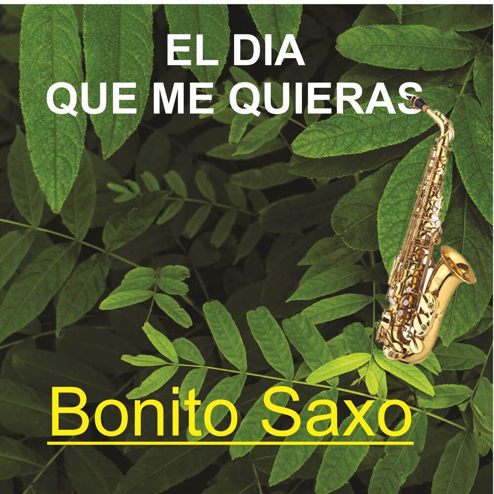 El dia que me quieras