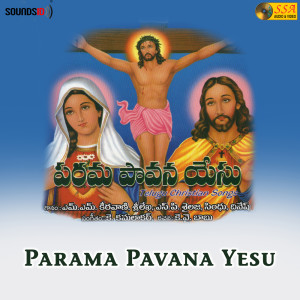 收听S P Sailaja的Paravasinchi歌词歌曲