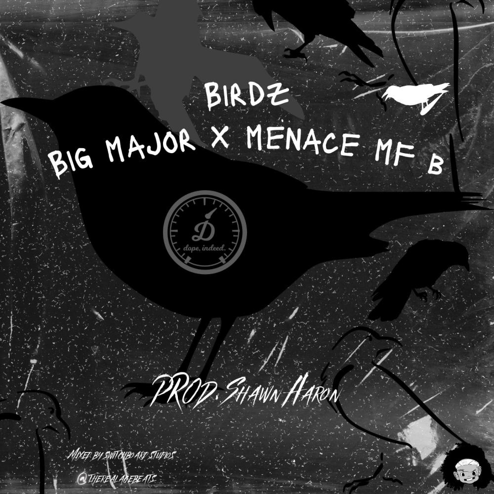 BIRDZ (feat. Menace MF B & Shawn Aaron) (Explicit)