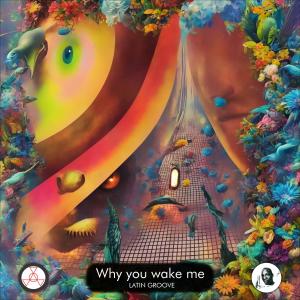 收听Atrip的Why you wake me - Latin groove歌词歌曲