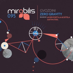 ดาวน์โหลดและฟังเพลง Zero Gravity (Javier Portilla & Sotela Remix) พร้อมเนื้อเพลงจาก Gvozdini