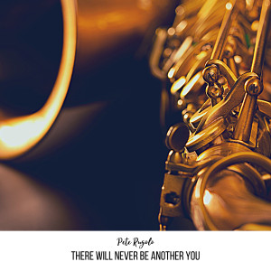 Album There Will Never Be Another You oleh Pete Rugolo and His Orchestra
