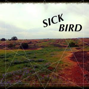 ดาวน์โหลดและฟังเพลง Childhood Visions (Explicit) พร้อมเนื้อเพลงจาก Sick Bird