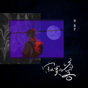 收听杨馥伊的寂寞的访客歌词歌曲