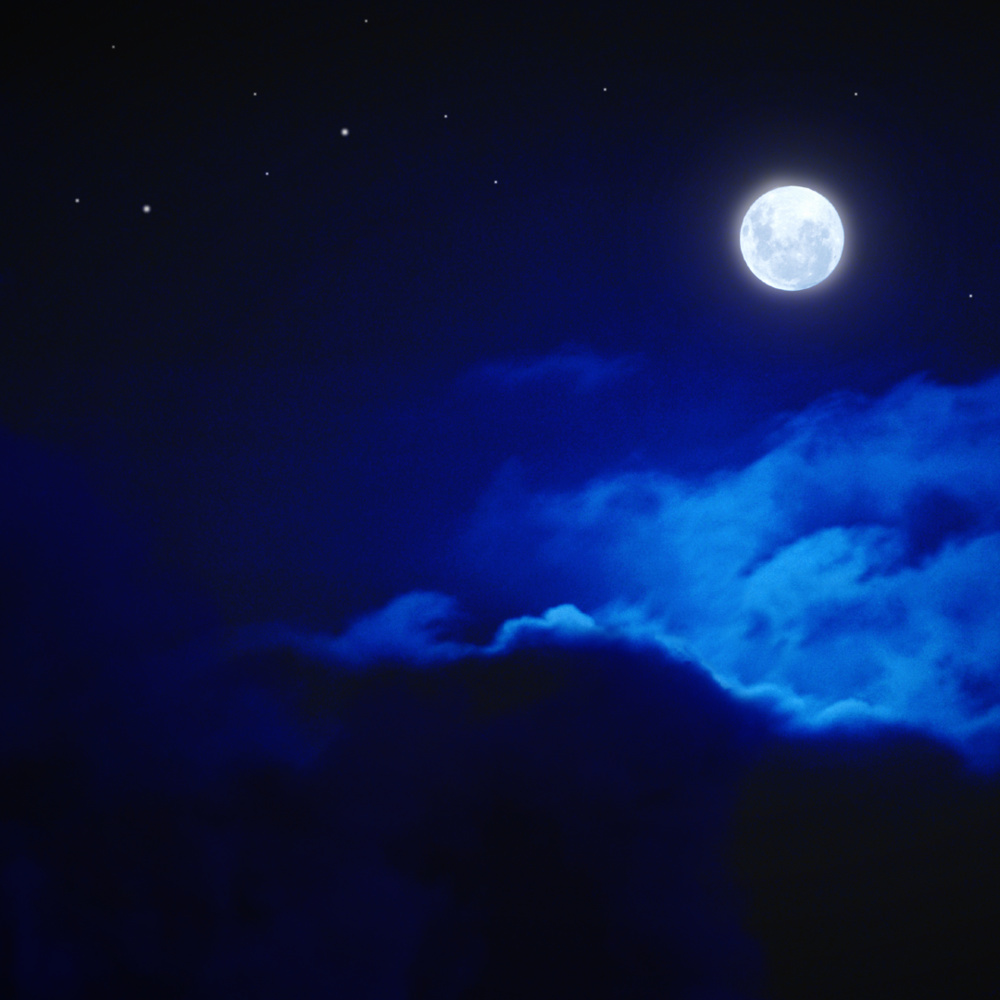 The Night