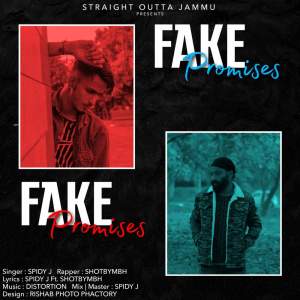 Listen to Fake Promises song with lyrics from The Nsing