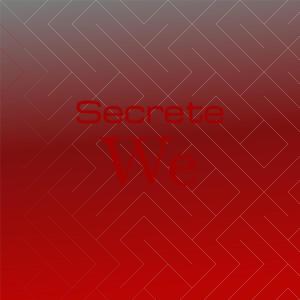 อัลบัม Secrete We ศิลปิน Various