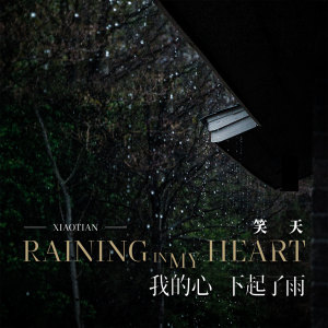 收聽笑天的我的心下起了雨歌詞歌曲