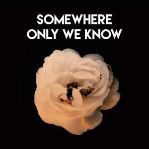 ดาวน์โหลดและฟังเพลง Somewhere Only We Know พร้อมเนื้อเพลงจาก Sassydee