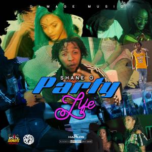 ดาวน์โหลดและฟังเพลง Party Life (Explicit) พร้อมเนื้อเพลงจาก Damage Musiq