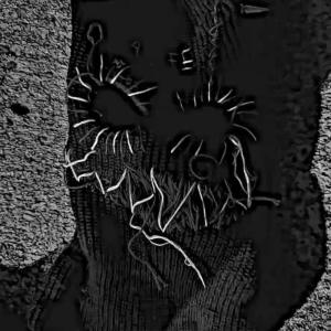 ดาวน์โหลดและฟังเพลง YEAH B**** (Explicit) พร้อมเนื้อเพลงจาก MetaFour